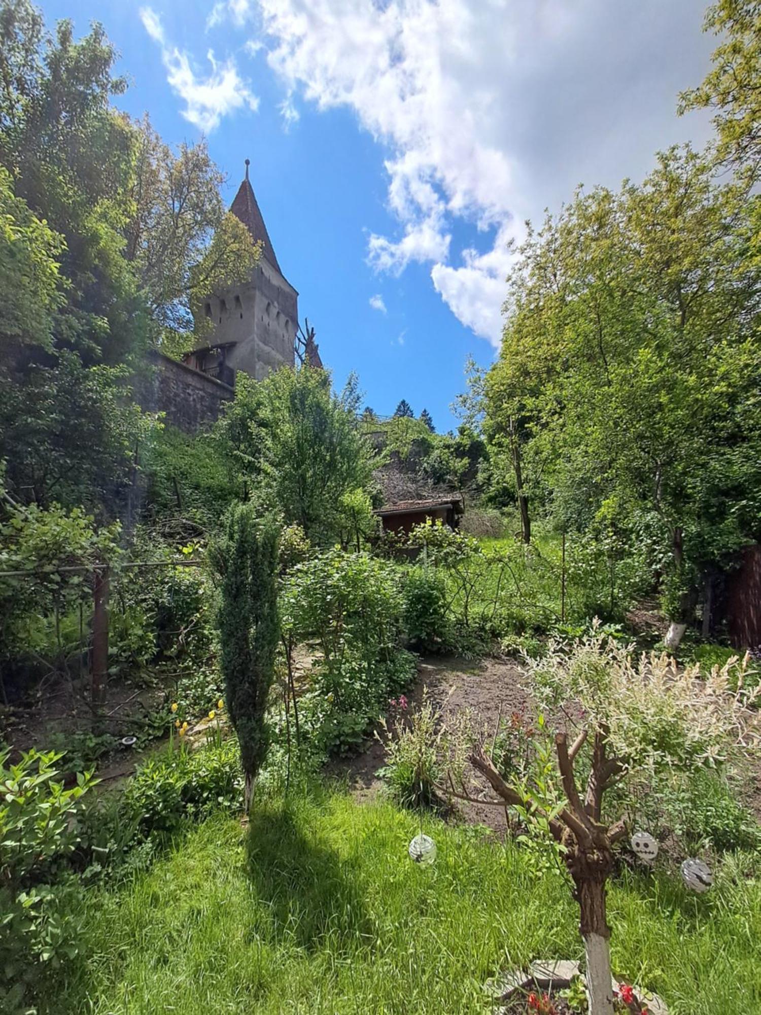 Apartamento Casa Adimi Sighişoara Exterior foto
