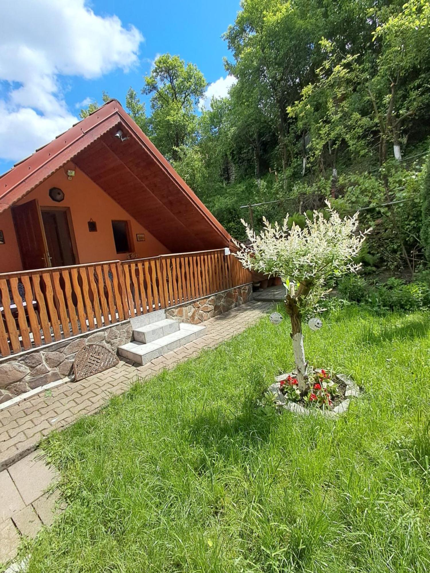Apartamento Casa Adimi Sighişoara Exterior foto