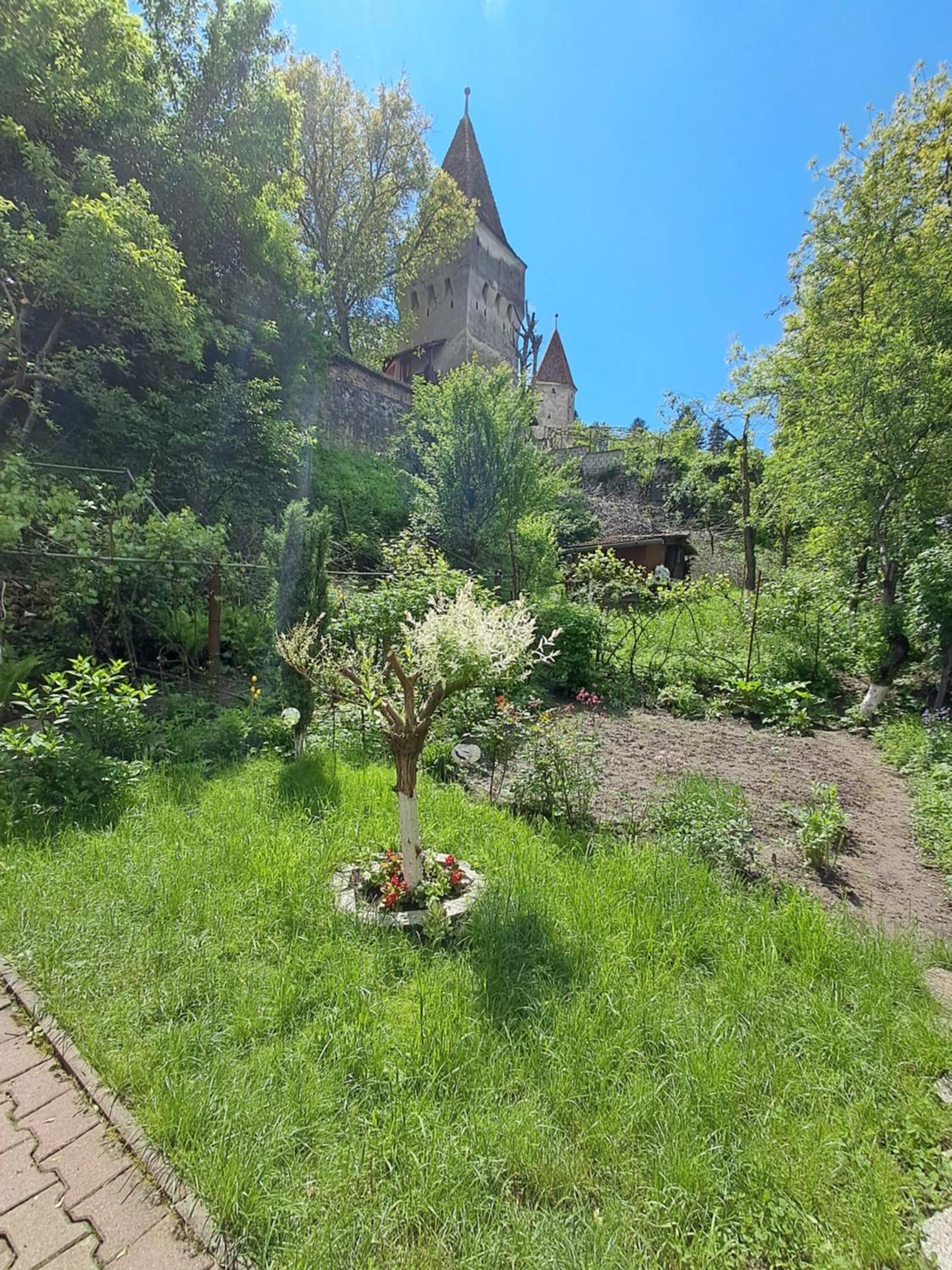 Apartamento Casa Adimi Sighişoara Exterior foto